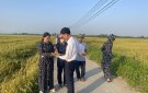  Ban Chỉ đạo sản xuất nông nghiệp xã Xuân Hồng thăm đồng, đánh giá năng suất, sản lượng lúa vụ chiêm xuân năm 2023