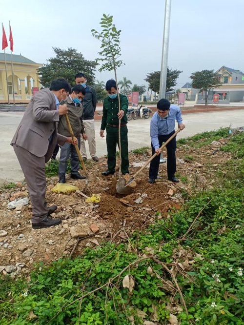 trồng cây.jpg