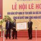 Lễ hội Lê Hoàn 2024 - Tiếng gọi cội nguồn