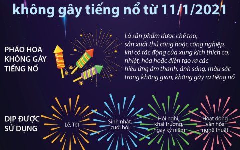 Tuyên truyền phòng chống pháo vũ khí, vật liệu nổ, công cụ hỗ trợ dịp Tết Nguyên đán Tân Sửu 2021