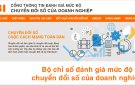 BỘ CHỈ SỐ ĐÁNH GIÁ MỨC ĐỘ CHUYỂN ĐỔI SỐ DOANH NGHIỆP