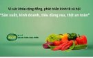 RAU TỰ TRỒNG CÓ CHẮC ĐÃ AN TOÀN? TIÊU CHUẨN ĐỂ SẢN XUẤT RAU AN TOÀN