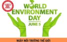 Chủ đề Ngày Môi trường Thế giới (5/6) năm 2024 được Chương trình Môi trường Liên hợp quốc lựa chọn là “Phục hồi đất