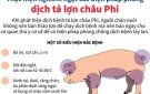 hướng dẫn các biện pháp phòng, chống bệnh Dịch tả lợn Châu Phi xâm nhập, tái phát, lây lan trên địa bàn xã Xuân Hồng.