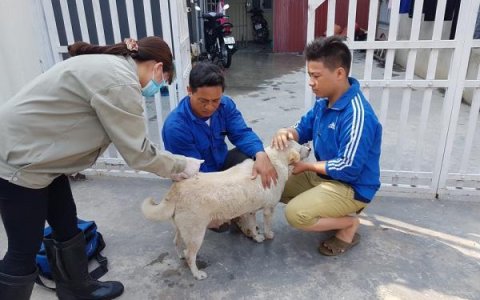 Bài tuyên truyền tiêm phòng văc xin cho đàn gia súc, gia cầm và tiêm phòng dại cho đàn chó  