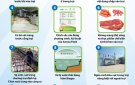 Hướng dẫn các biện pháp kỹ thuật phòng, chống bệnh Dịch tả lợn Châu Phi