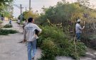 Hiệu quả từ mô hình "Ngày Chủ nhật xanh"