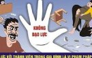 Quy trình tiếp nhận, xử lý tin báo, tố giác hành vi bạo lực gia đình
