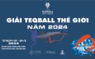 Hỗ trợ thông tin, tuyên truyền Giải TeqBall Thế giới tại tỉnh Bình Định năm 2024.